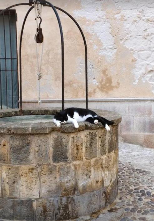 Appartamento Il Palco Alghero Zewnętrze zdjęcie